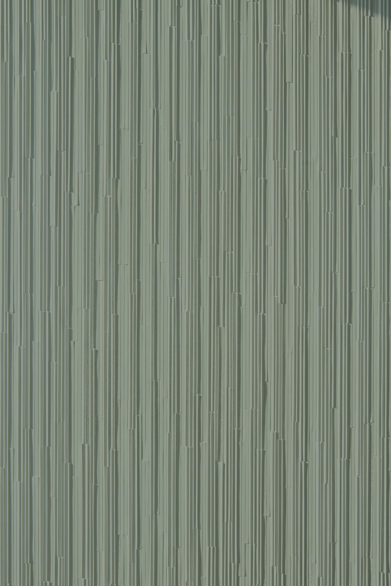 Rain Verde Mutina, Phenomenon