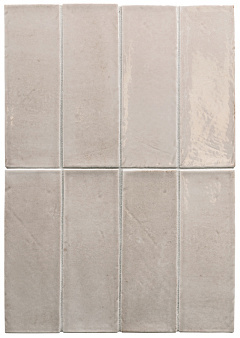 Morchella Gloss EQUIPE, MIYAKO