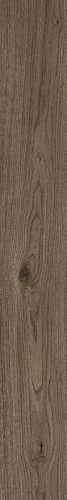 Castano MARAZZI, VIVO