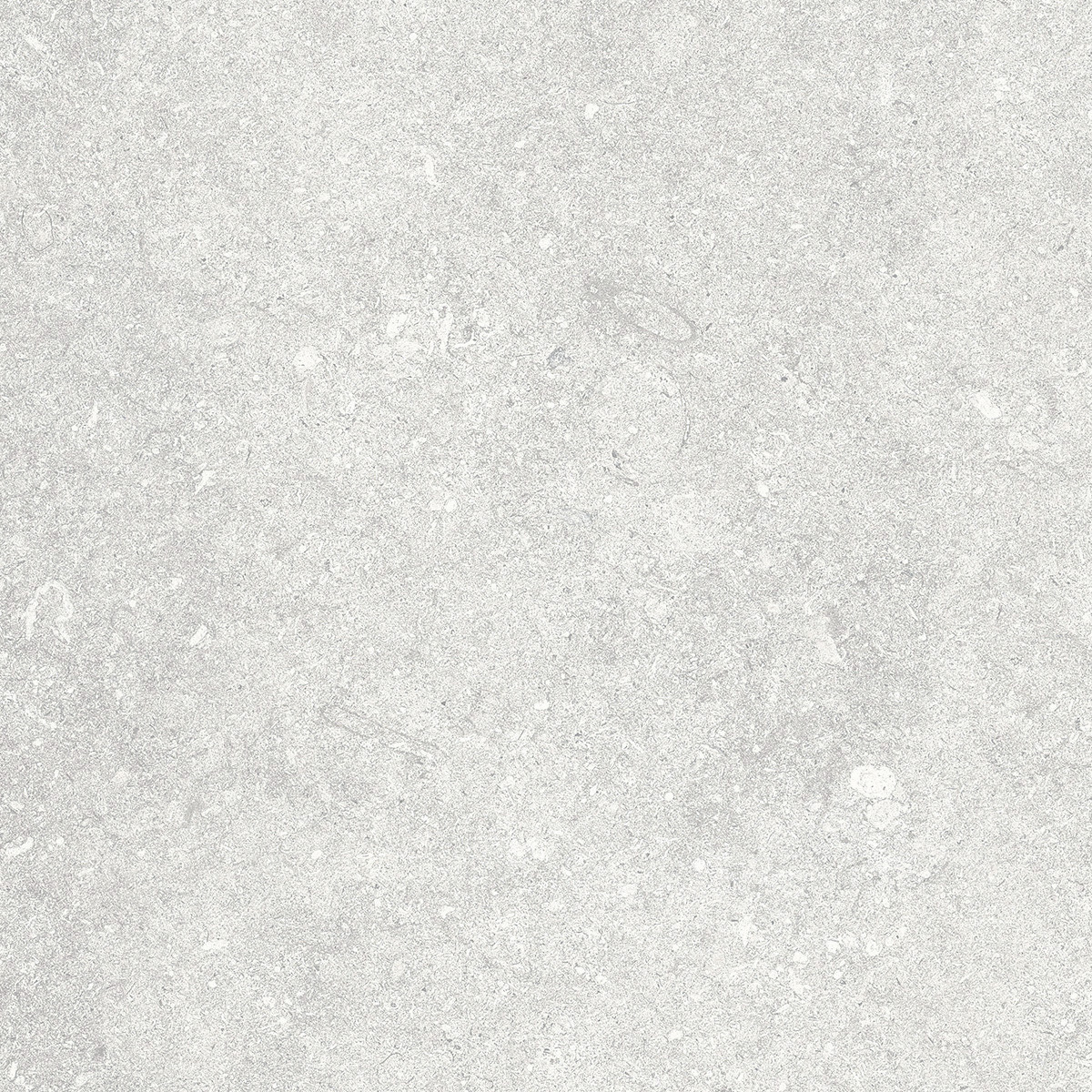 Opal lapp Kronos, Le Reverse