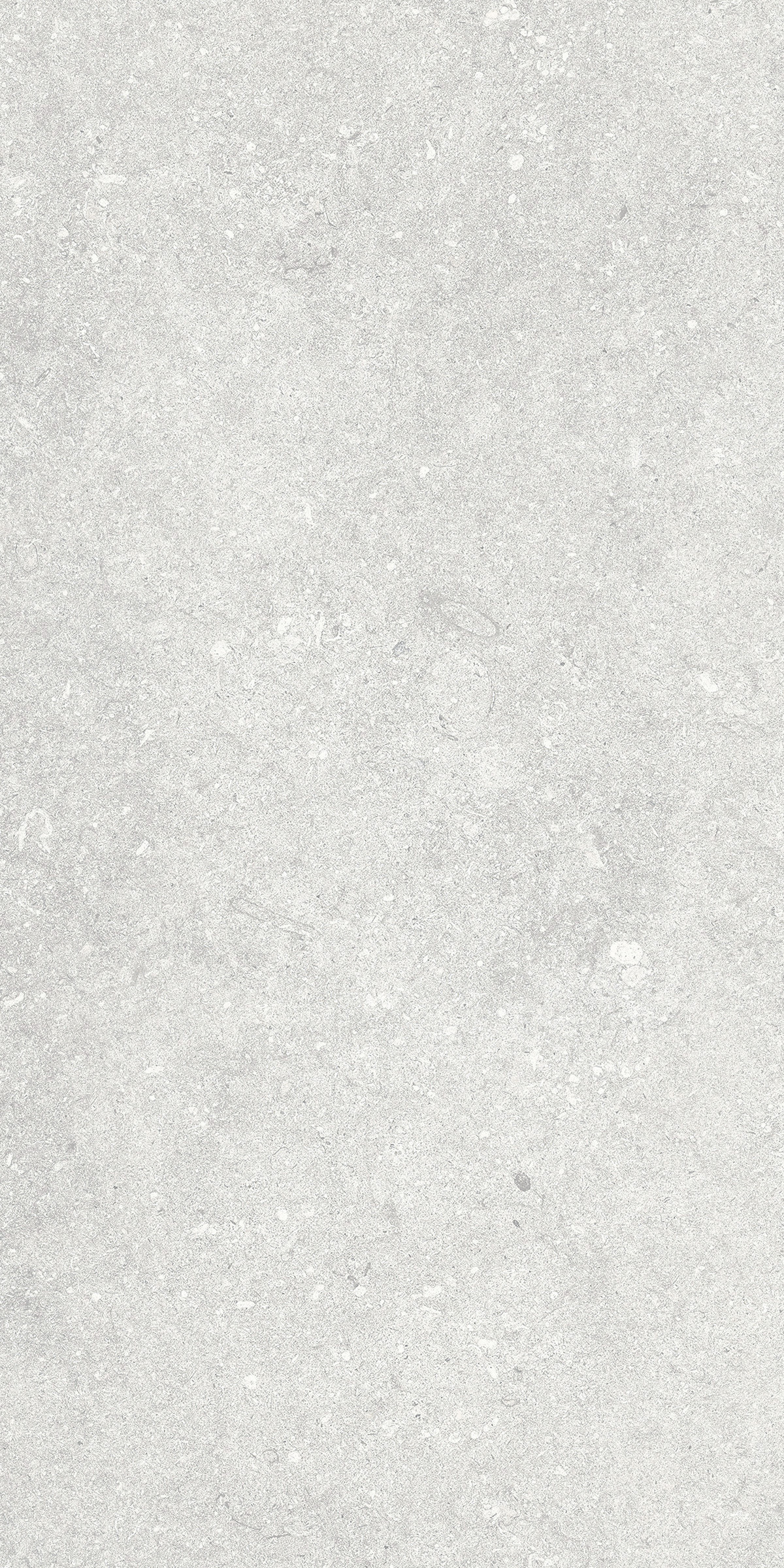 Opal lapp Kronos, Le Reverse