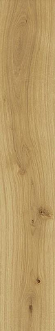 Almond Atlas Concorde, Exence