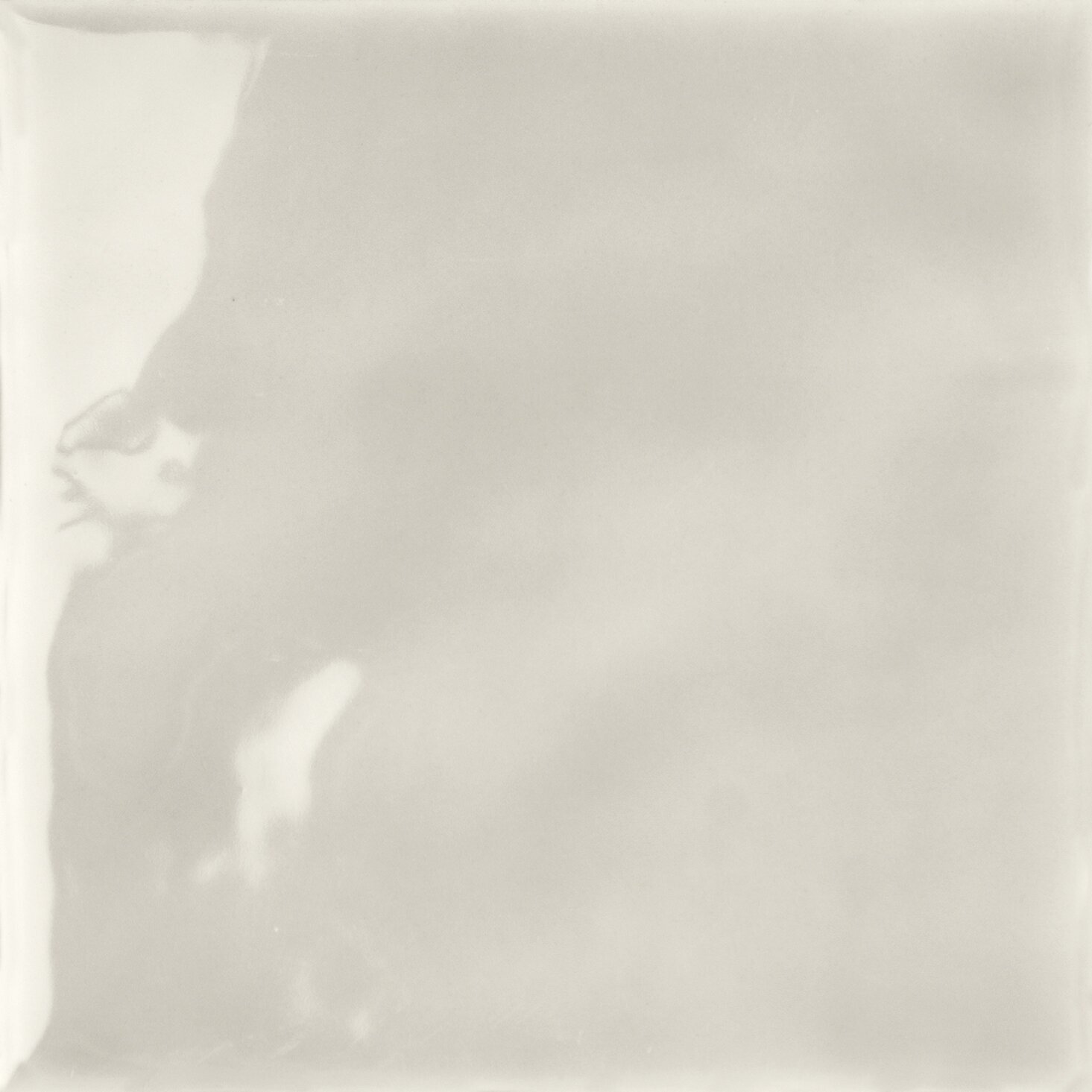 Acqua Tonalite, Fluid