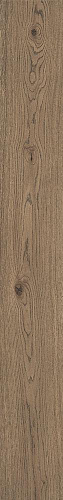 Tabacco MARAZZI, VIVO