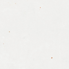 White WOW, ZELLIGE