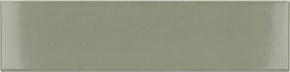 Tansy Green Glossy EQUIPE, COSTA NOVA