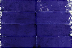 Cobalt Gloss АКЦИЯ EQUIPE, FANGO