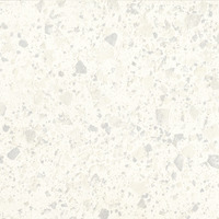 Venice Zinc Levigato polished FMG, Venice Villa