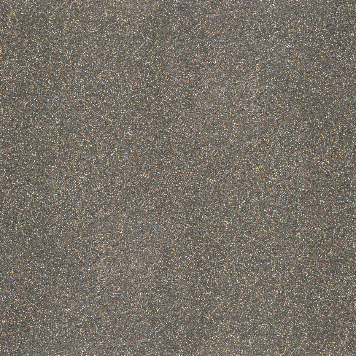 Cornaro Levigato polished FMG, Palladio