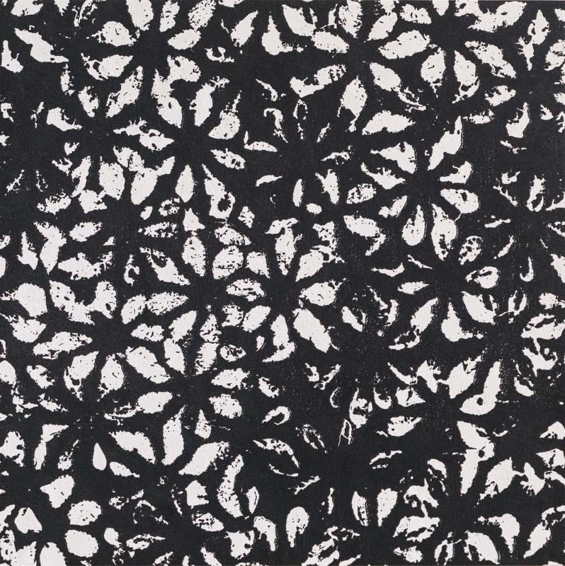 Bloom Black Mutina, Chymia