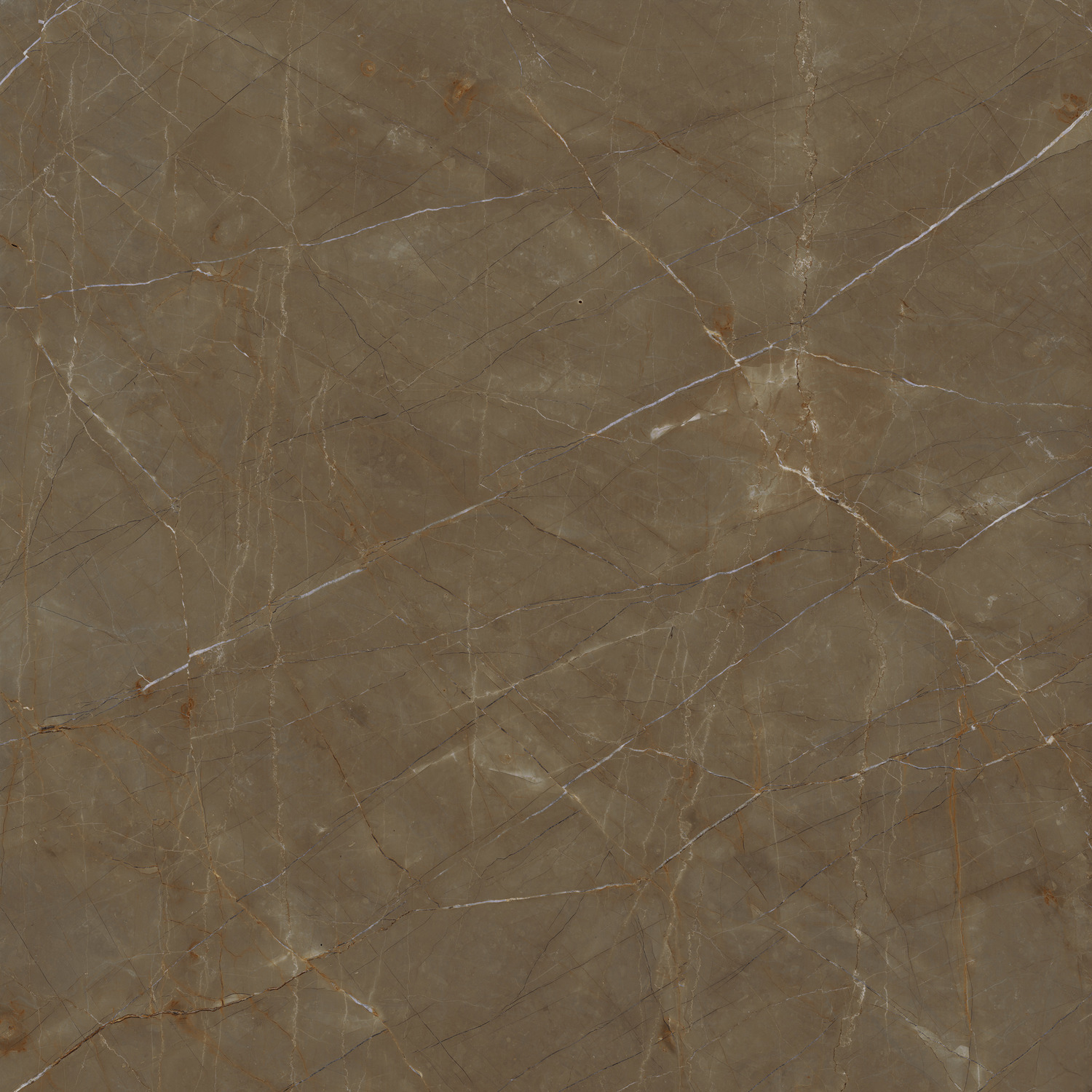 Gaudi Stone Extra FMG, Marmi Maxfine