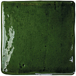Olive S Gloss WOW, ROOTS