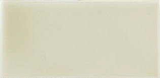 Felce Glossy Grazia, Essenze