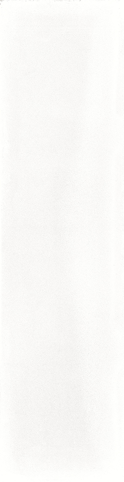 Latte Tonalite, Summery