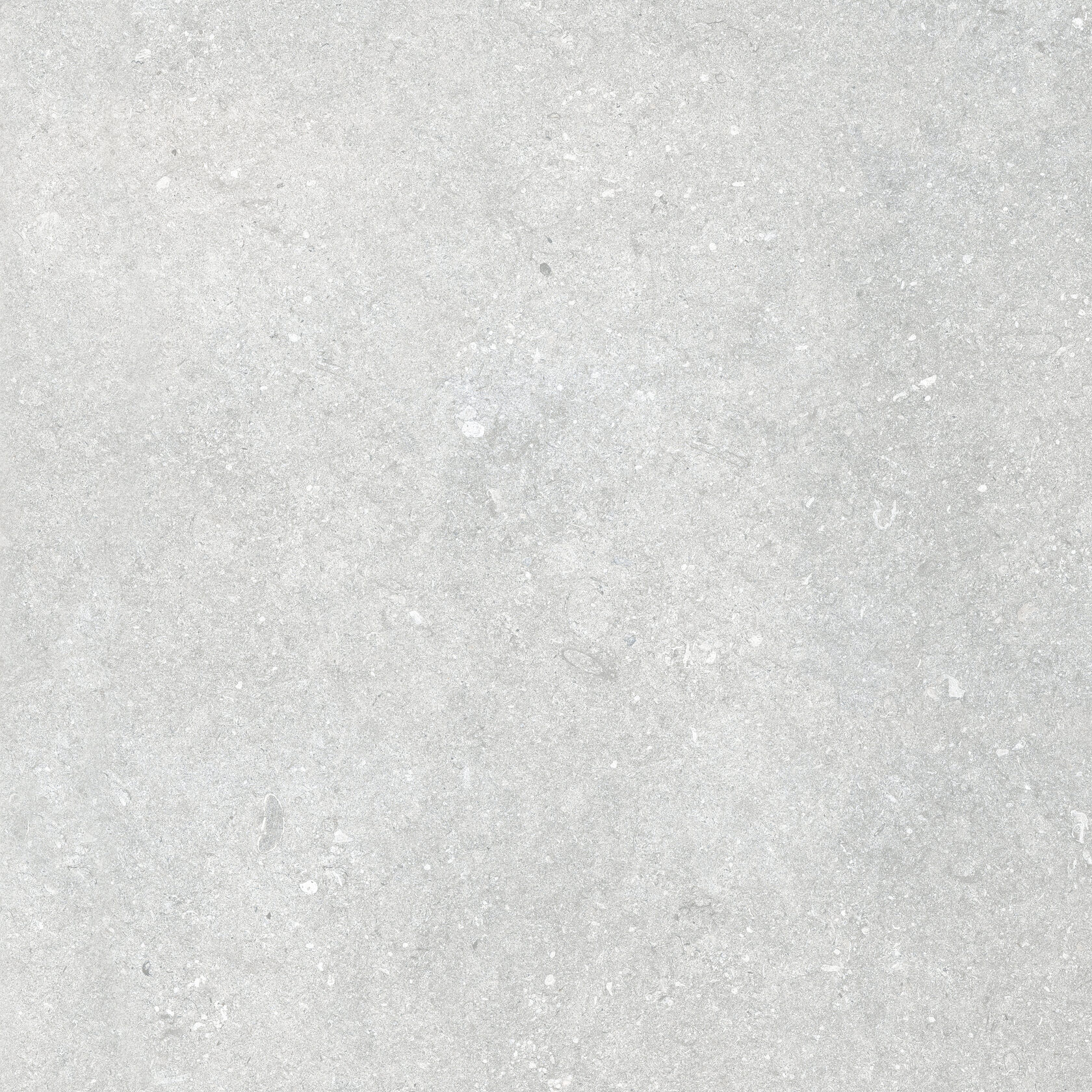Opal lapp Kronos, Le Reverse