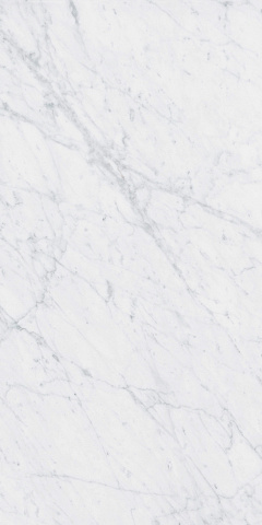 Carrara 41zero42, ITALIC