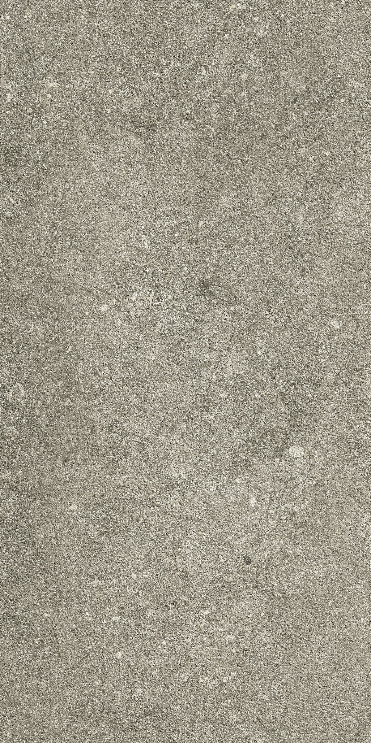 Taupe Carved rett Kronos, Le Reverse
