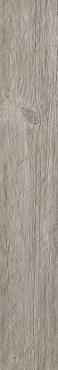Silver Fir Atlas Concorde, Axi