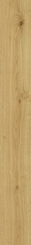 Almond Grip Atlas Concorde, Exence
