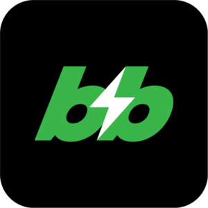 Логотип Шеринг электровелосипедов Бибибайк