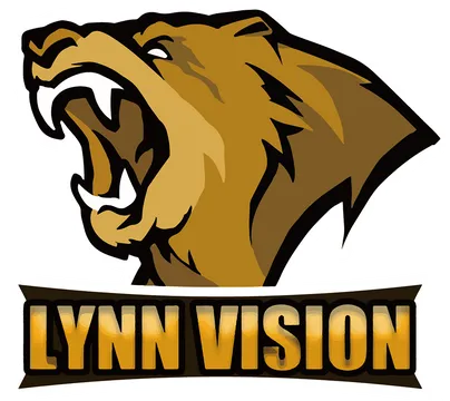 Кто из последних участников мейджора прошел по делу, а кто просто удачнее всех выжил в VRS-мясорубке?