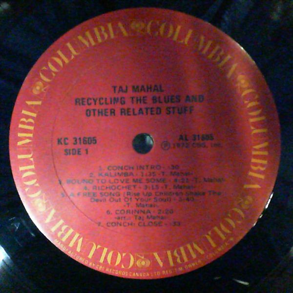 Mahal Taj — Recycling The Blues & Other Related Stuff
