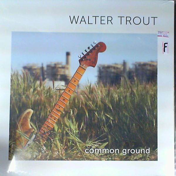 Walter Trout — Common Ground
