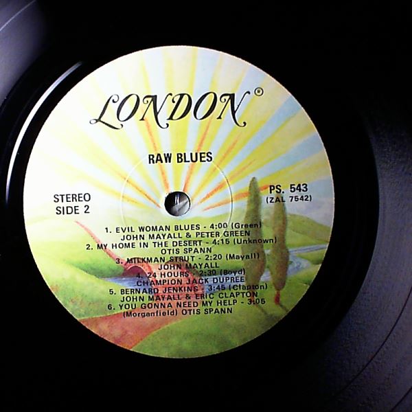 Various Artists — Raw Blues