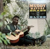 Waters Muddy — Waters Muddy (Blues Masters/Мастера Блюза – 2)