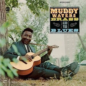 Waters Muddy — Muddy, Brass & The Blues (Acoustic sounds)