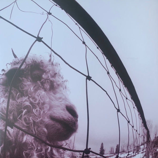 Pearl Jam — Vs. (Limited 30th Anniversary Indie Edition, Clear Vinyl)