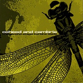 COHEED AND CAMBRIA — Second Stage Turbine Blade