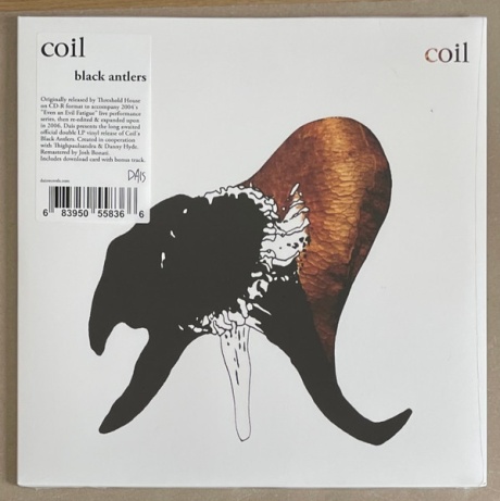 Coil — Black Antlers