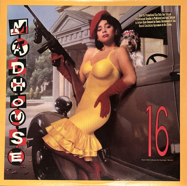 Madhouse — 16 (New Directions In Garage Music)