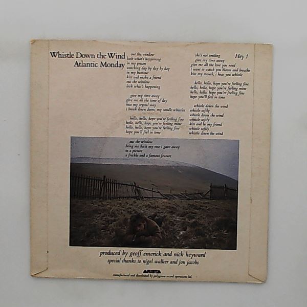 Heyward Nick (ex-Haircut 100) — Whistle Down The Wind / Atlantic Monday