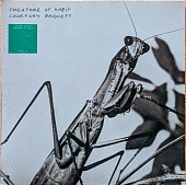COURTNEY BARNETT — Creature Of Habit