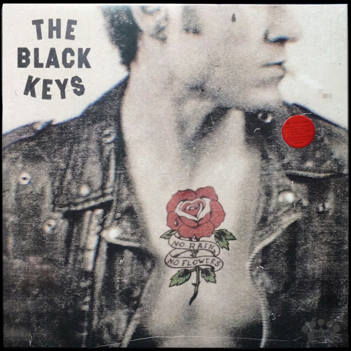 Black Keys — No Rain, No Flowers