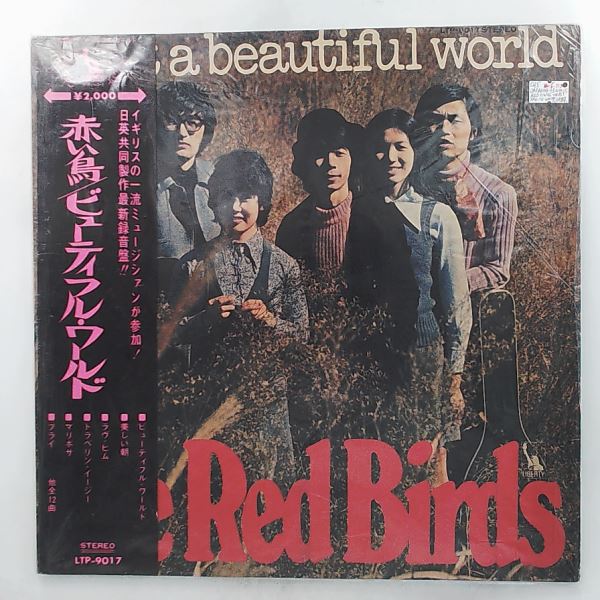 Red Birds — What A Beautiful World
