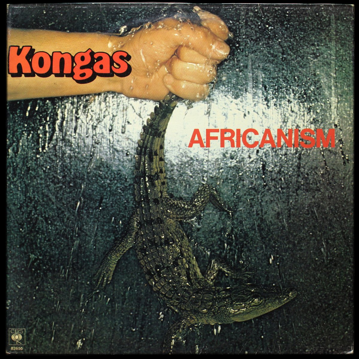 Kongas — Africanism