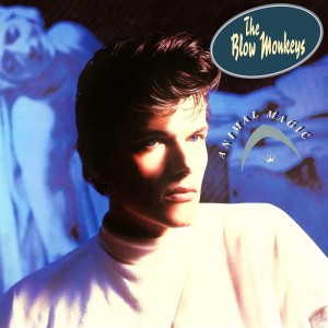 The Blow Monkeys — Animal Magic