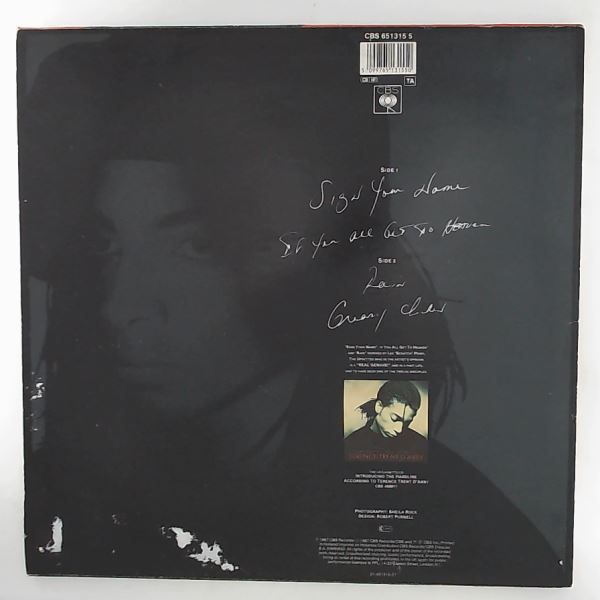 Terence Trent D'Arby — Sign Your Name