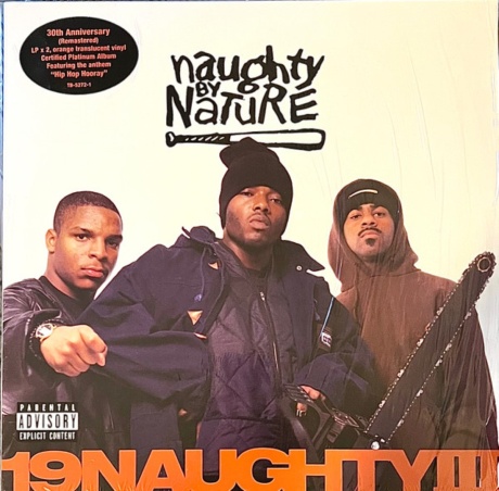 Naughty By Nature — 19 Naughty III