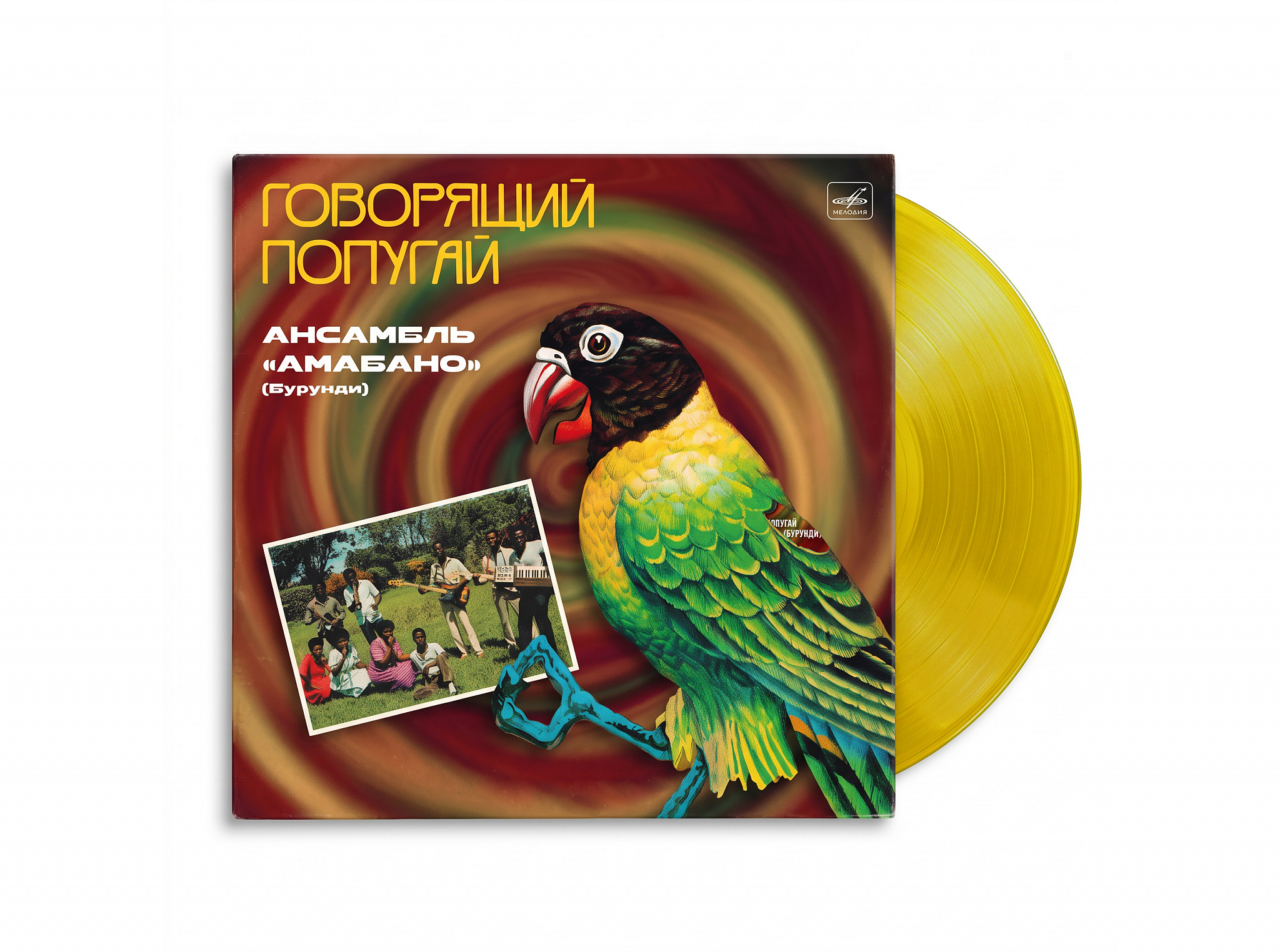 Amabano — Говорящий Попугай