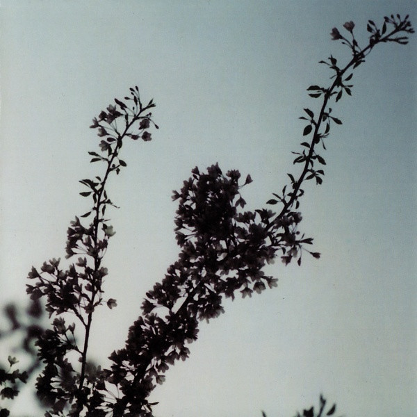 Mokira — Album