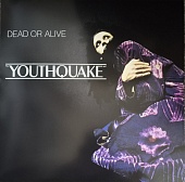 Dead Or Alive — Youthquake