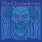 THE CHAMELEONS — Why Call It Anything