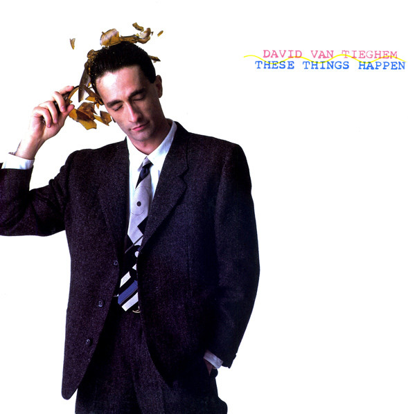 David Van Tieghem — These Things Happen