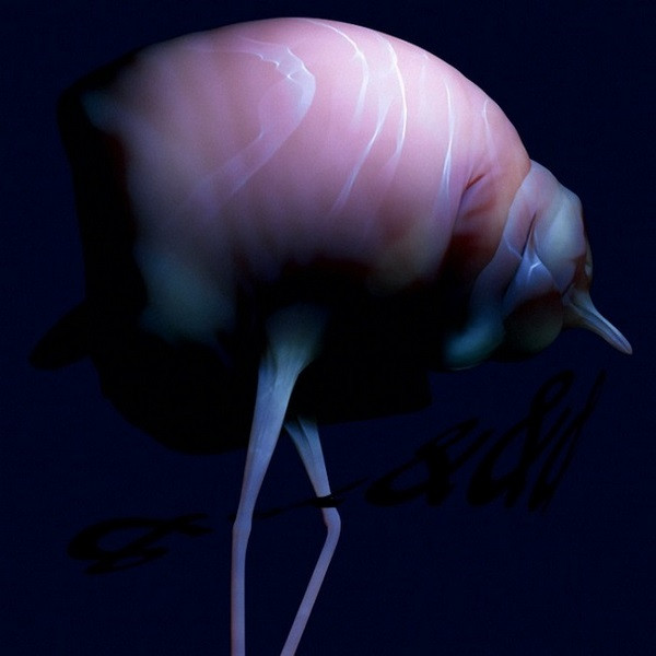 Arca — &&&&&