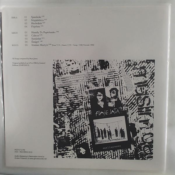 Muslimgauze — Flajelata