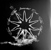 THIS IMMORTAL COIL — The World Ended A Long Time Ago